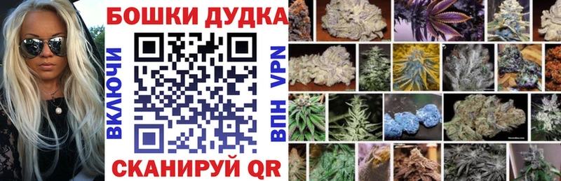 Где купить Партизанск Alpha-PVP  Канабис  Cocaine 
