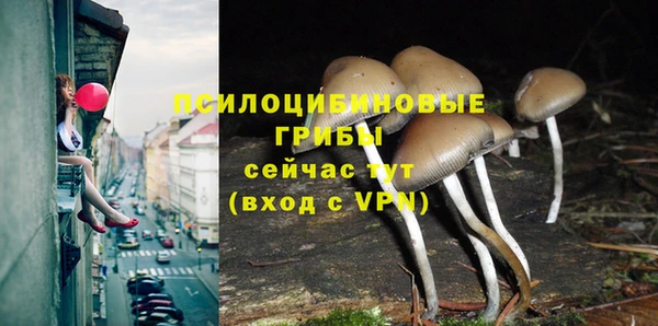 таблы Елабуга